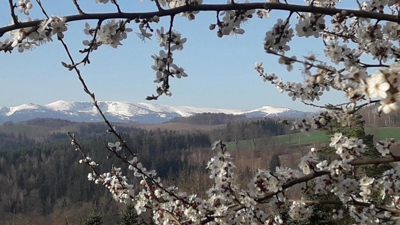 Kowalowe Skaly Spa&More Jelenia Gora Bagian luar foto